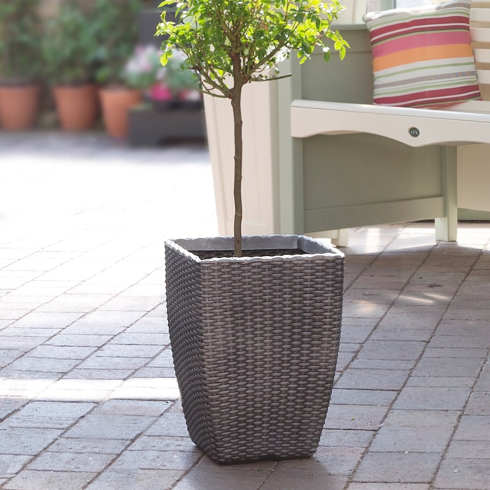 Tall Rattan Planter Pewter (Pack of 2)-Strata-Plastic Box Shop
