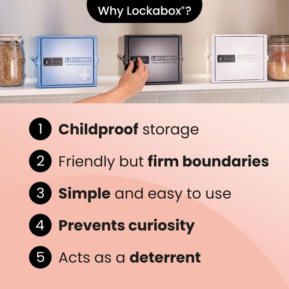 10.5 Litre One Secure Storage Box – Black – Lockabox-Lockabox®-Plastic Box Shop
