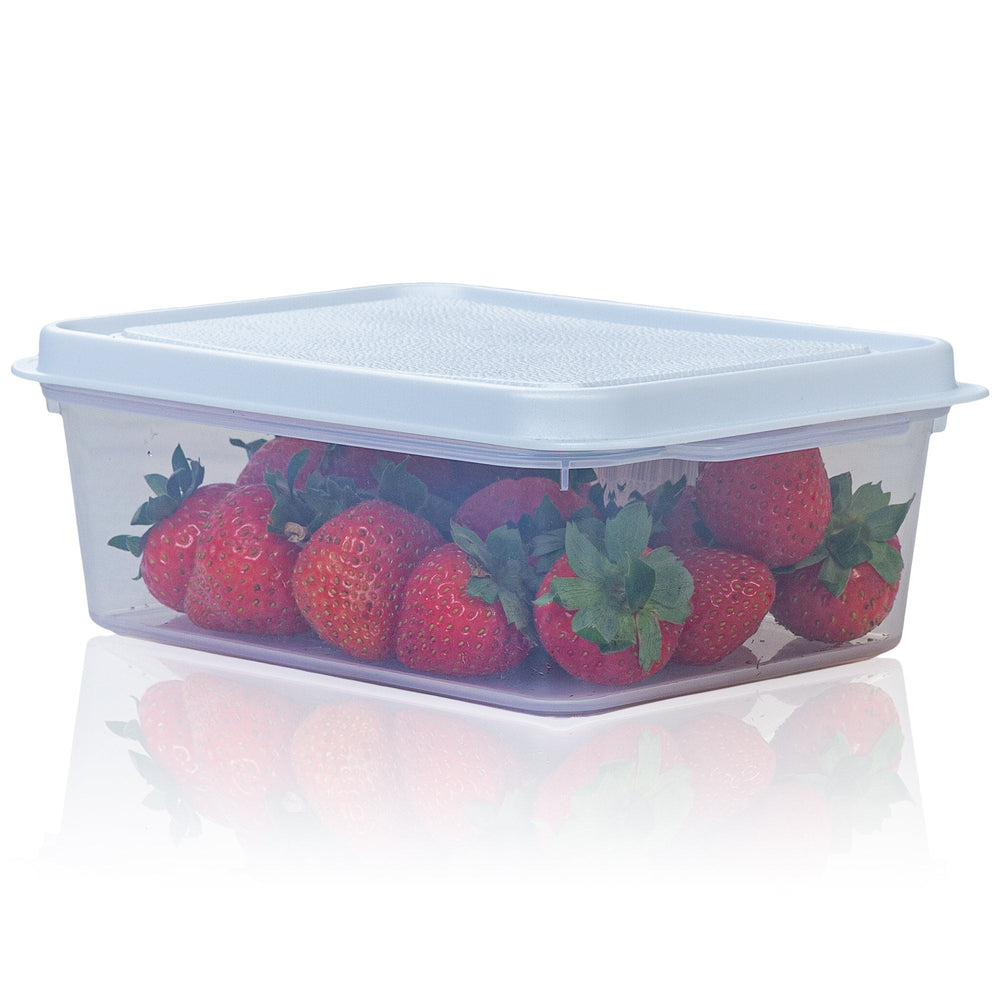 1 Litre Rectangular Plastic Food Storage Box with Lid – Wham Studio-Wham-Plastic Box Shop