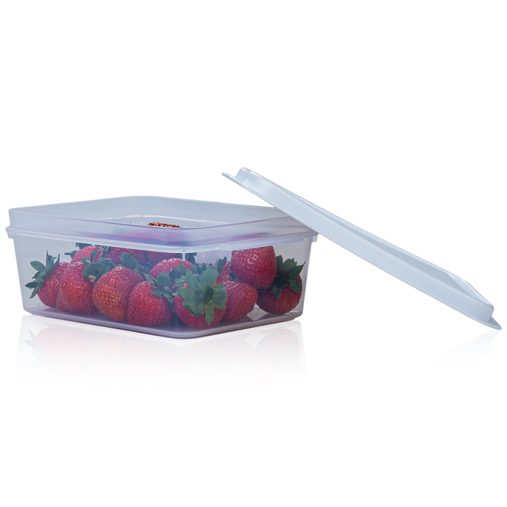 1 Litre Rectangular Plastic Food Storage Box with Lid – Wham Studio-Wham-Plastic Box Shop