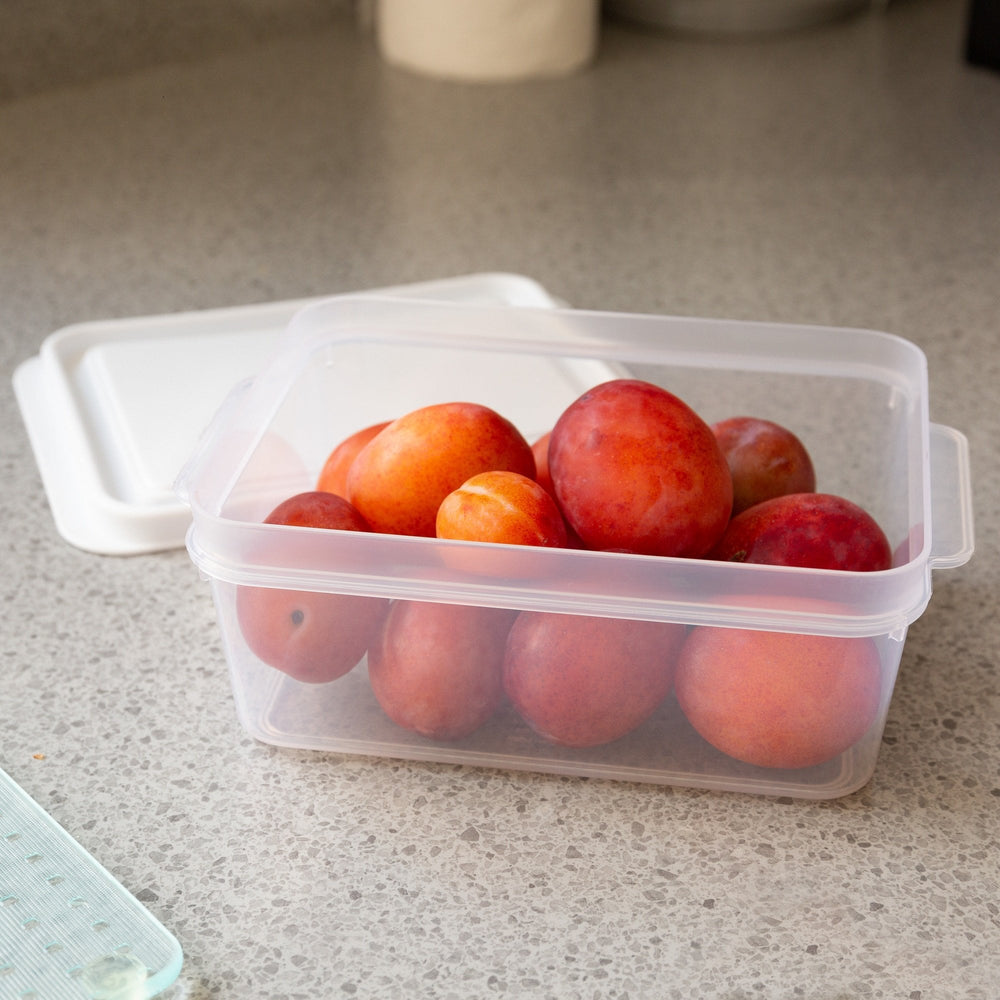 1 Litre Rectangular Plastic Food Storage Box with Lid – Wham Studio-Wham-Plastic Box Shop