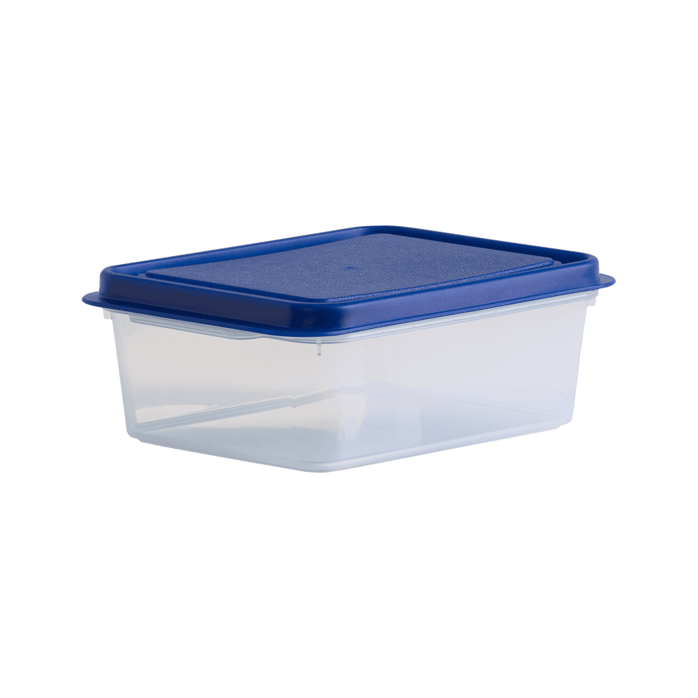 1 Litre Rectangular Plastic Food Storage Box with Lid – Wham Studio-Wham-Plastic Box Shop