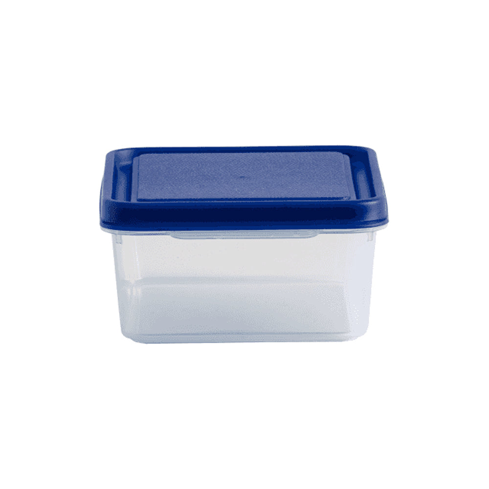 1 Litre Rectangular Plastic Food Storage Box with Lid – Wham Studio-Wham-Plastic Box Shop
