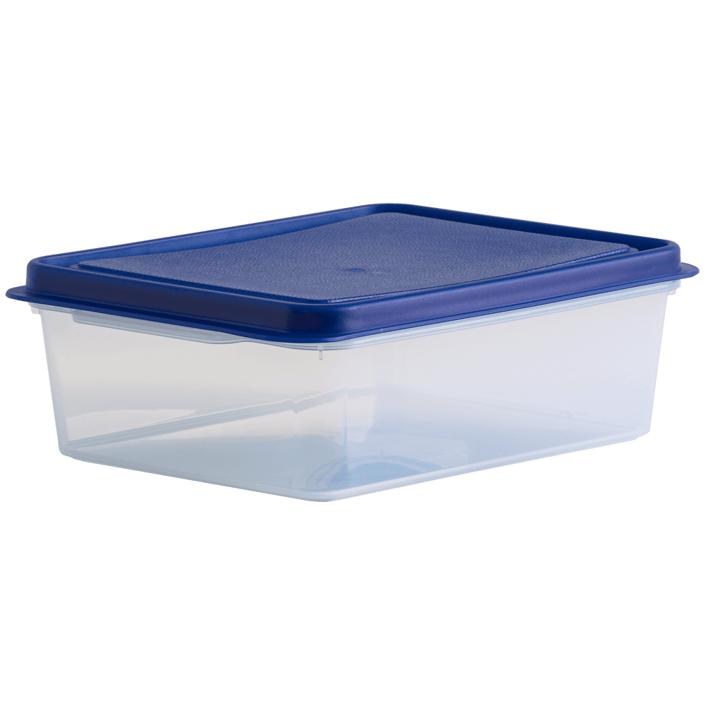 2 Litre Rectangular Plastic Food Storage Box with Airtight Lid – Wham Studio-Wham-Plastic Box Shop