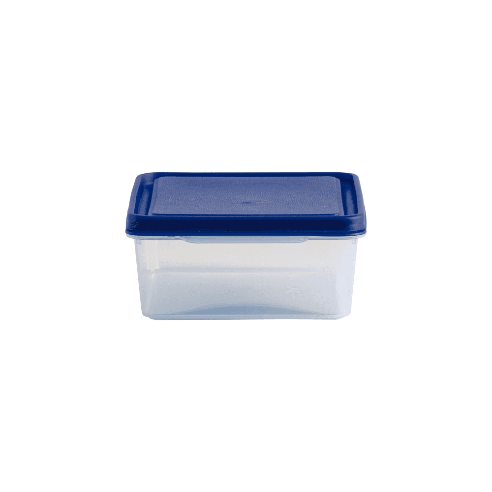 2 Litre Rectangular Plastic Food Storage Box with Airtight Lid – Wham Studio-Wham-Plastic Box Shop