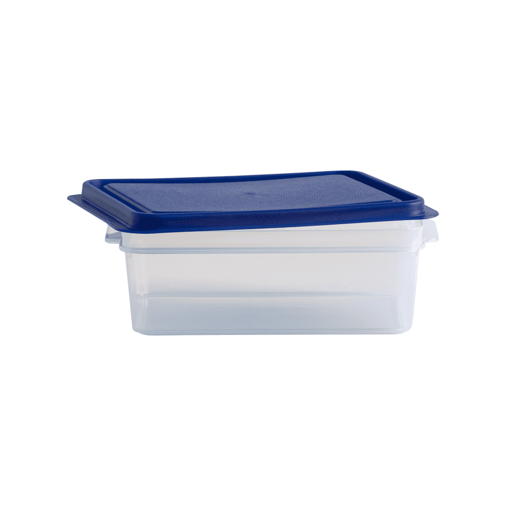 2 Litre Rectangular Plastic Food Storage Box with Airtight Lid – Wham Studio-Wham-Plastic Box Shop