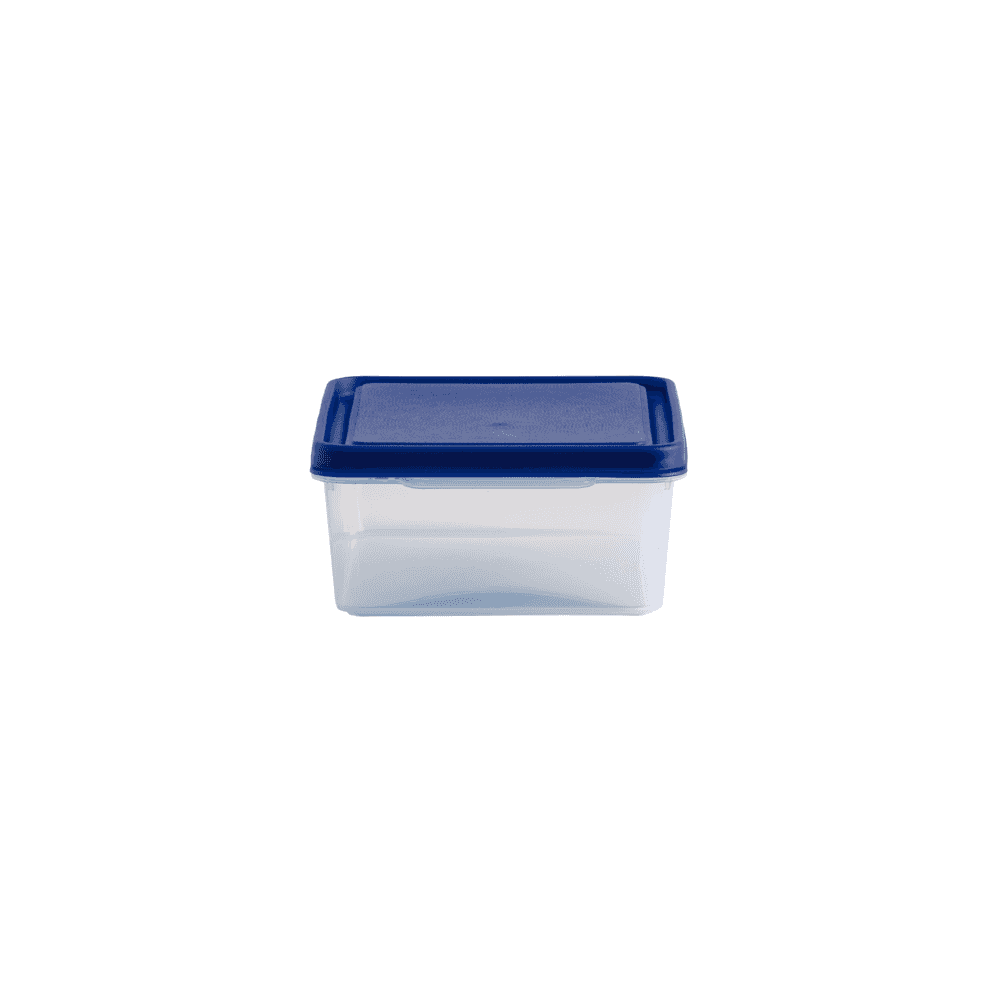 Studio 3 Litre Plastic Rectangular Food Box-Wham-Plastic Box Shop