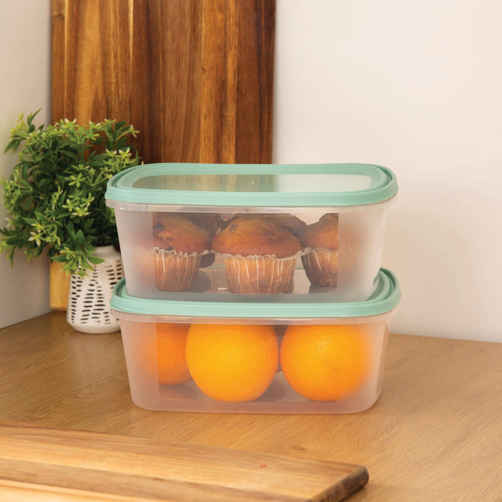 Set of 2 Everyday 3 Litre Plastic Food Boxes with Lids (35850)-Wham-Plastic Box Shop