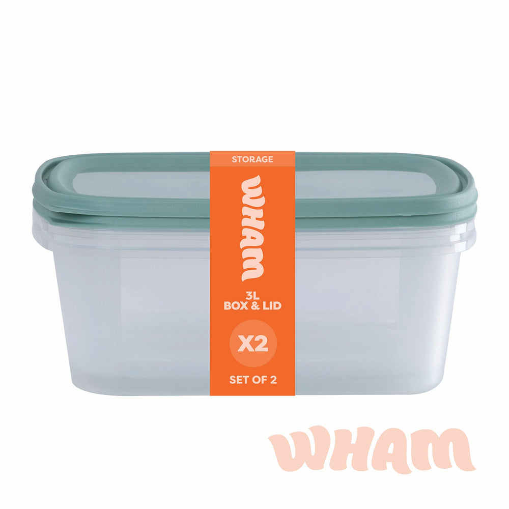Set of 2 Everyday 3 Litre Plastic Food Boxes with Lids (35850)-Wham-Plastic Box Shop
