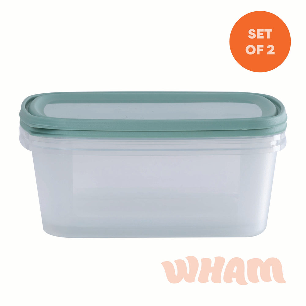 Set of 2 Everyday 3 Litre Plastic Food Boxes with Lids (35850)-Wham-Plastic Box Shop