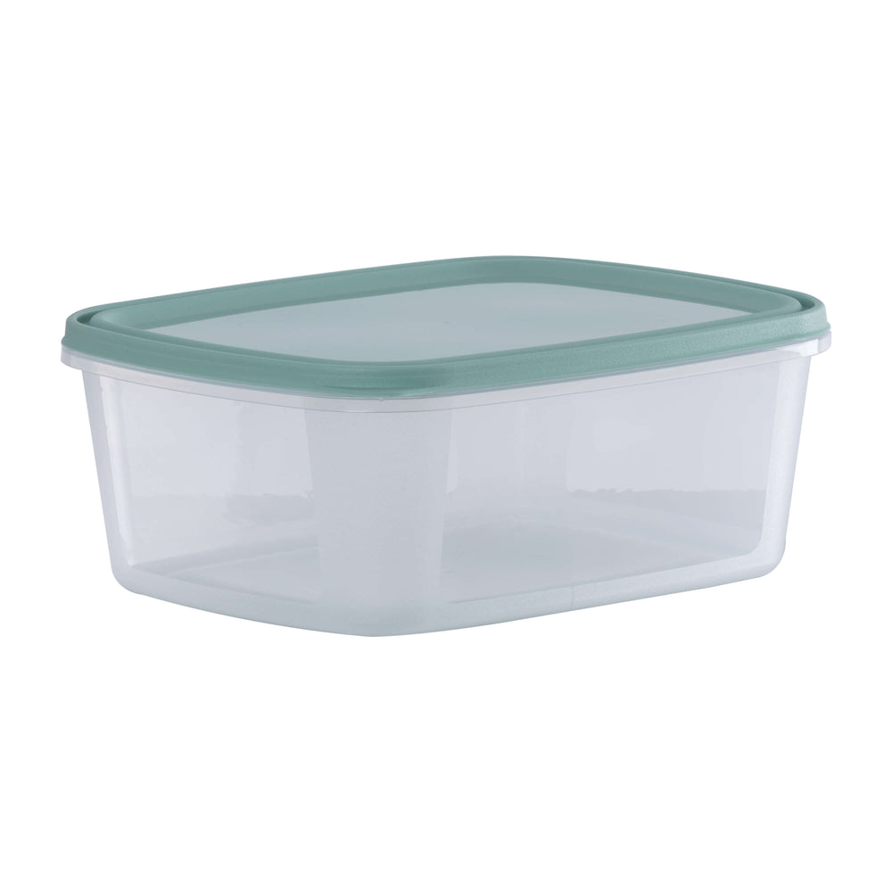 Set of 2 Everyday 3 Litre Plastic Food Boxes with Lids (35850)-Wham-Plastic Box Shop