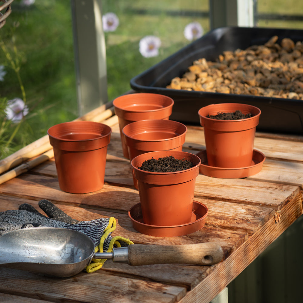 Set of 5 - 12.7cm Terracotta Grow Pots-Strata-Plastic Box Shop